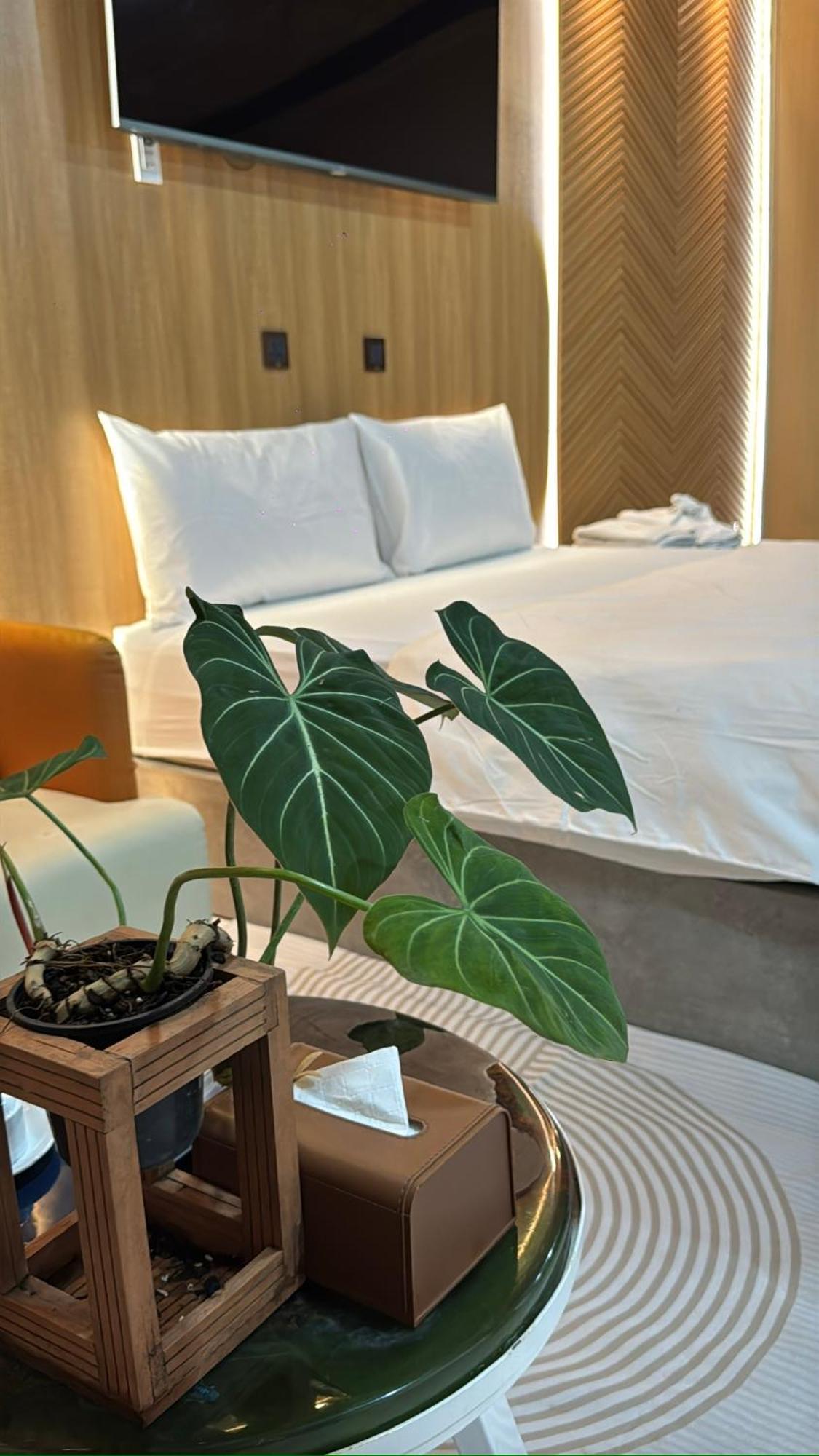 La Garden Homestay Long Xuyên Eksteriør bilde
